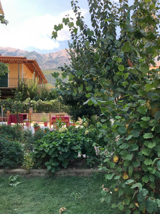 Hotel Villa Ago Përmet Esterno foto